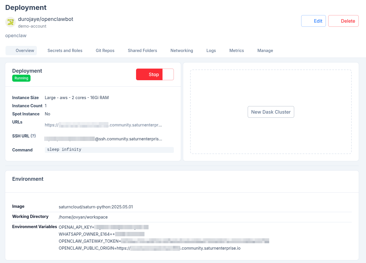 Saturn Cloud deployment overview with sleep infinity
