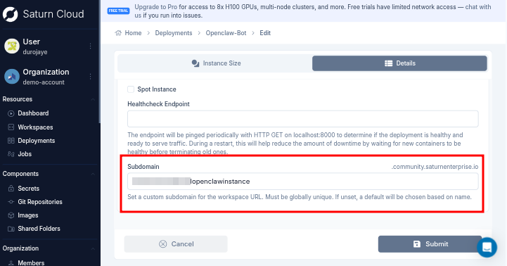 Saturn Cloud subdomain field
