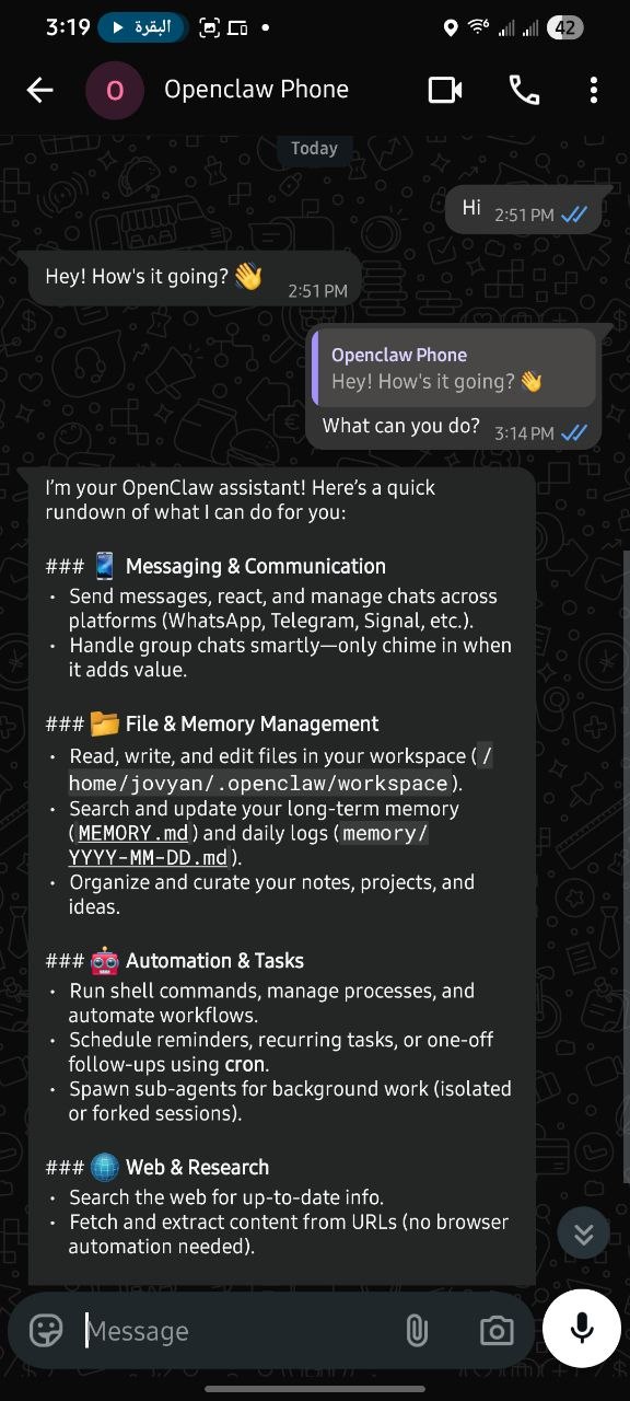 WhatsApp test message and OpenClaw reply