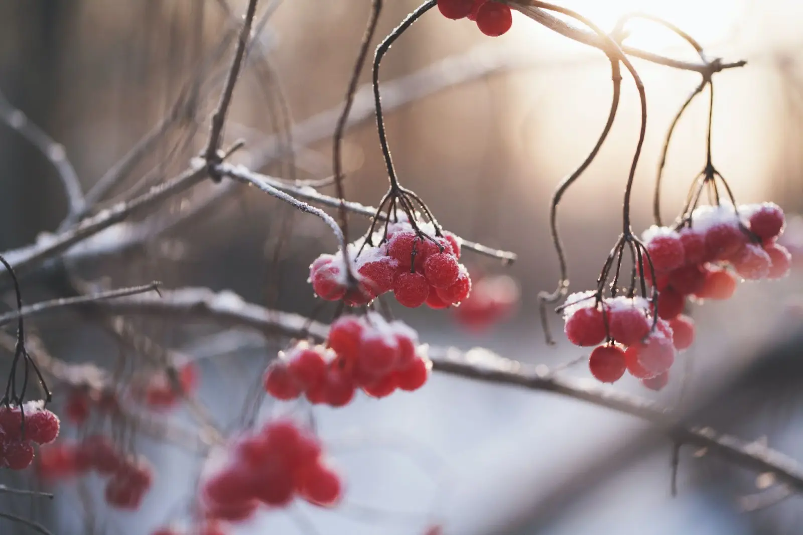 What is K-Means Clustering and How Does its Algorithm Work?