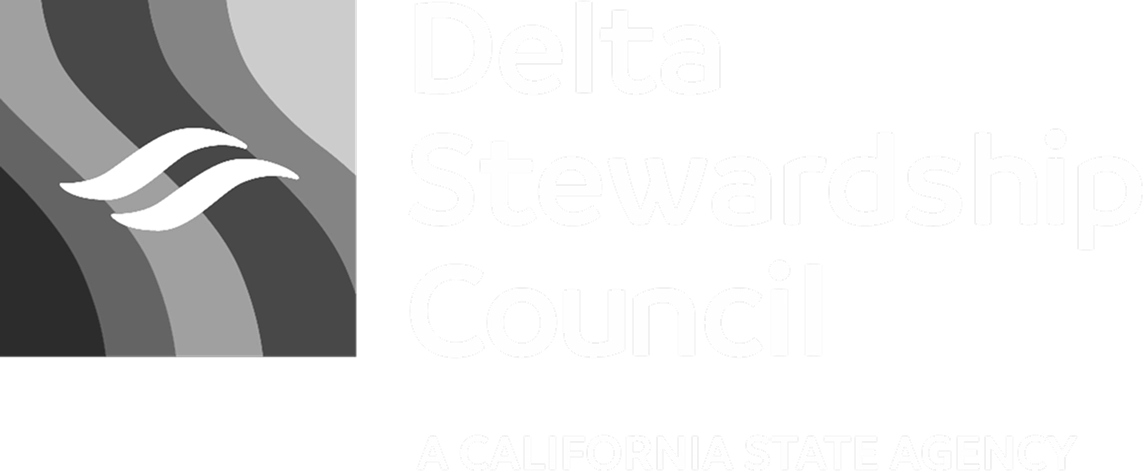 DSC